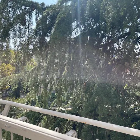 Apartment Pine-tree Spacious 2 Bdr Near Tanners' Bridge With Hot Tub